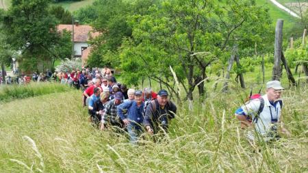10. pohod Pomlad v prleških goricah 8